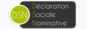 Déclaration Sociale Nominative
